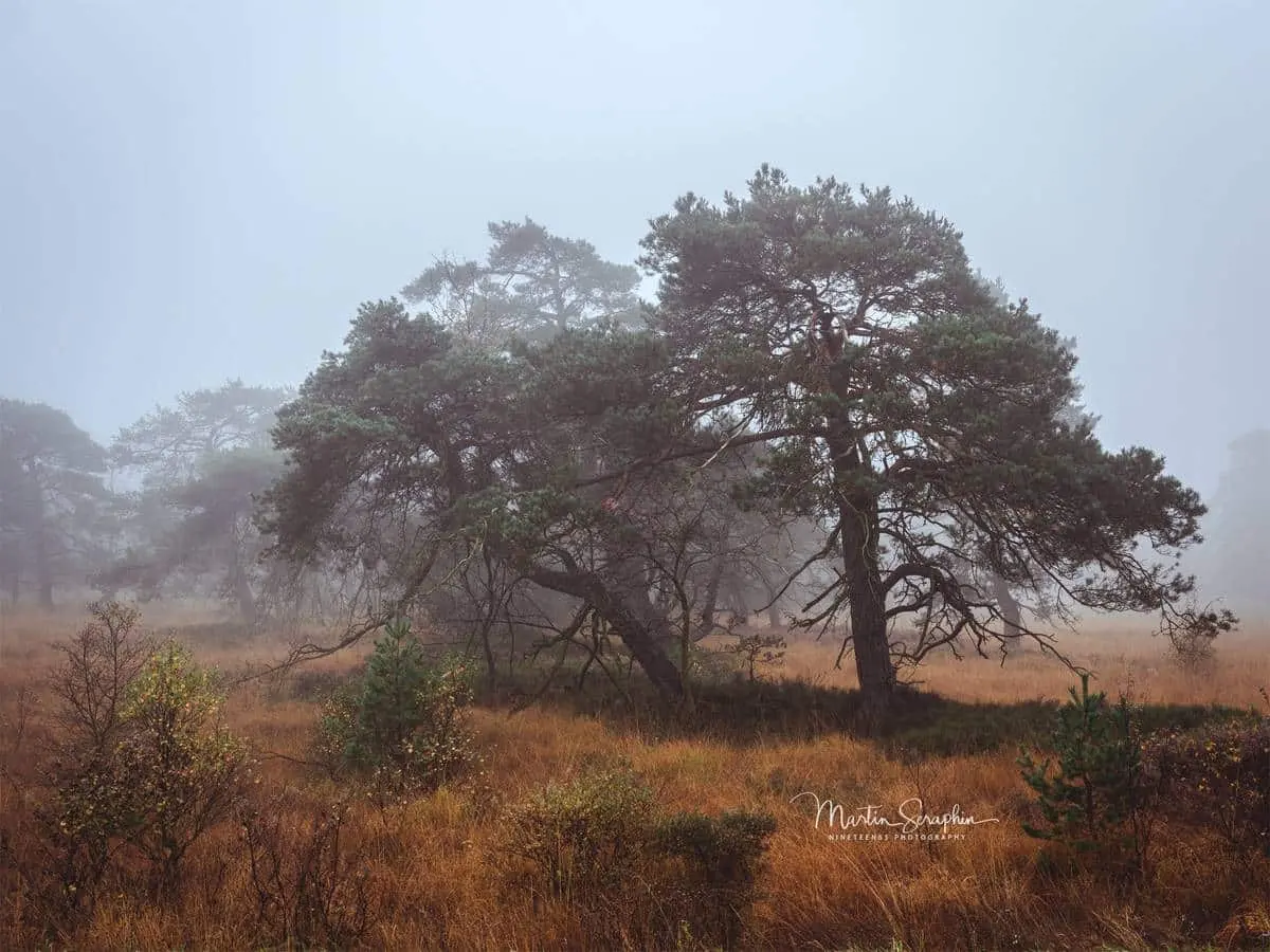 Landschaftsimpression aus der Rureifel und dem Nationalpark Eifel (7)