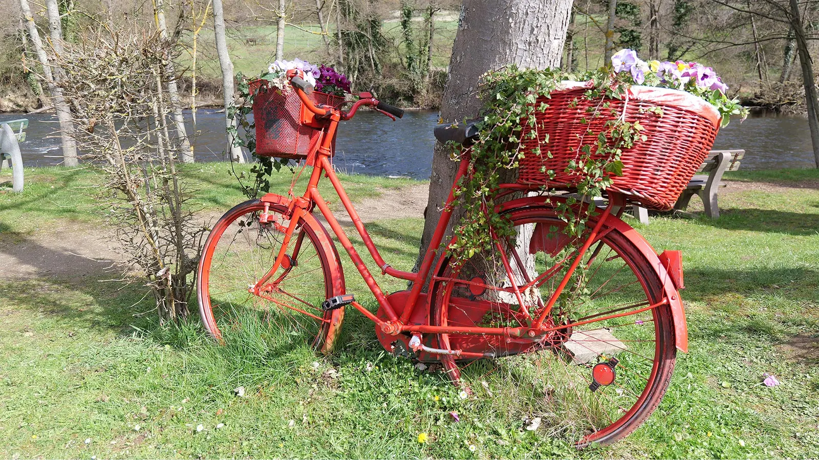Bright Red Photo Bike