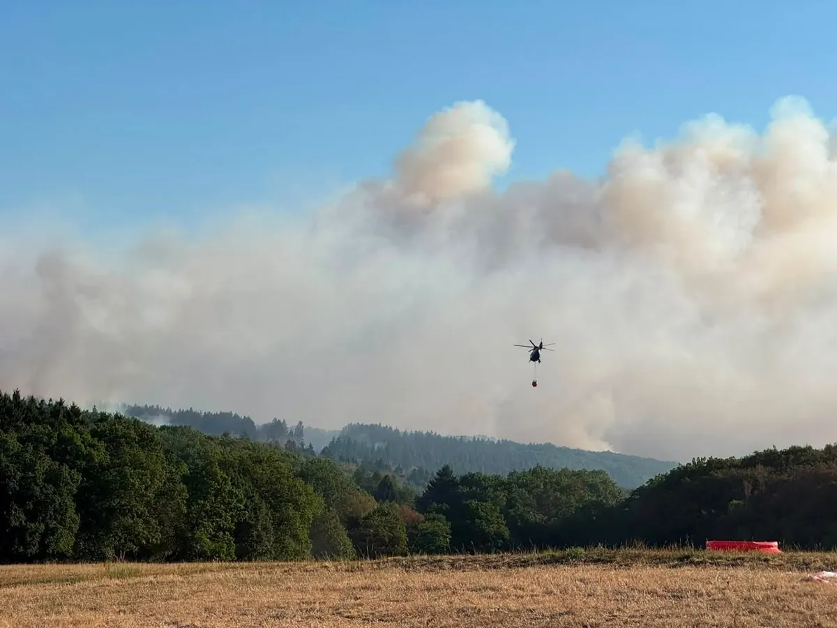 Forest fire in Hürtgenwald: campsite offers those affected a refuge