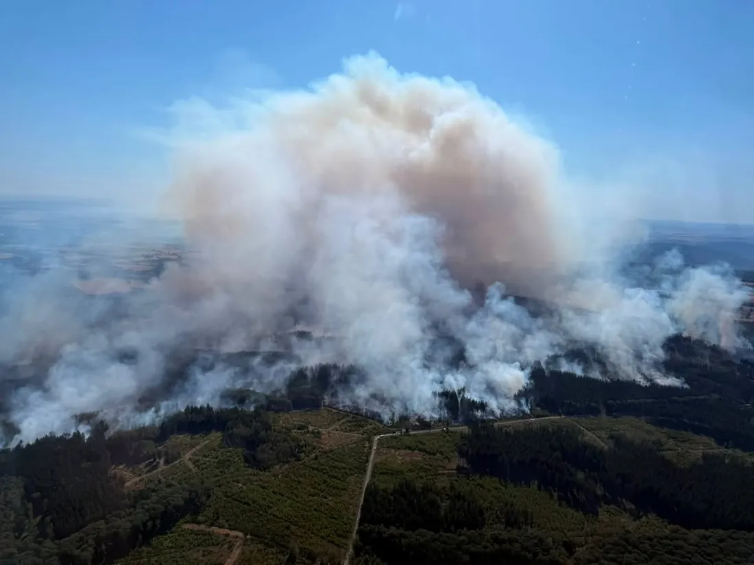 Rookwolk boven de bosbrand in het Hürtgenwald