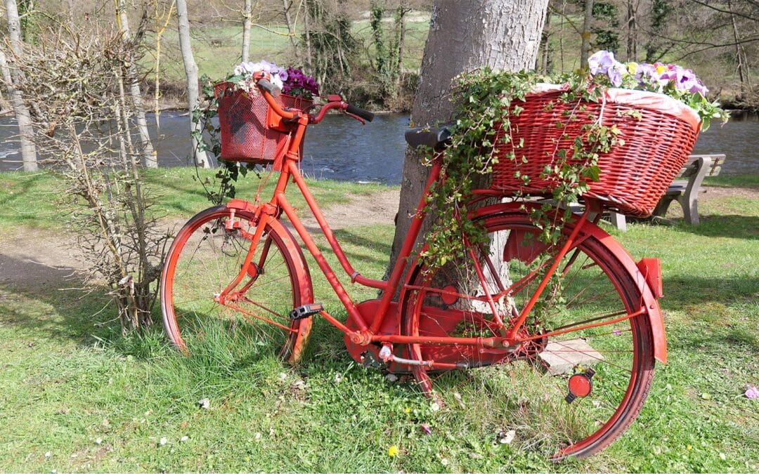 Knallrotes Fotofahrrad